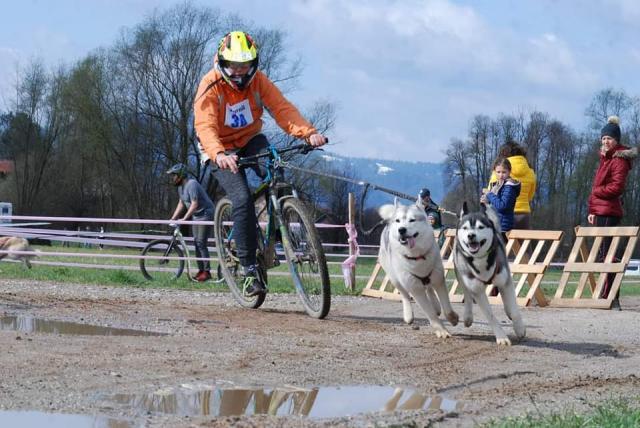 trka anze henrik.jpg